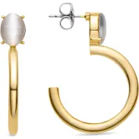 Luxenter Oorbellen 'Andoc' goud