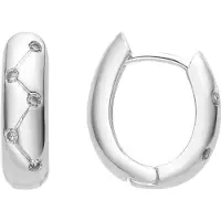 Luxenter Oorbellen 'Donwa' zilver