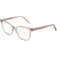Ferragamo SF3062 Transparent nude 54/16/145 WOMAN Brilmonturen