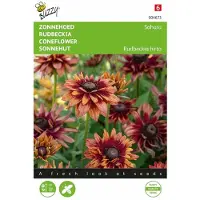 Buzzy - Zaden zonnehoed sahara 15 zaden