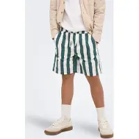 Only & Sons Junior Broek 'OSJFADE' groen / wit