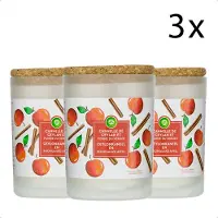 Air Wick Geurkaars - Kaneel & Boomgaard Appel x3