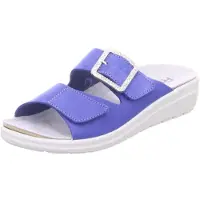 Rohde Muiltjes violetblauw