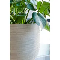 Pottery Pots - Plantenbak Cody M - Ø35cm x H31cm - Indoor en Outdoor - Light Grey (horiz. ridg.)