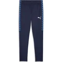 Puma Sportbroek 'TeamLiga26' navy / royal blue/koningsblauw / donkerblauw / wit