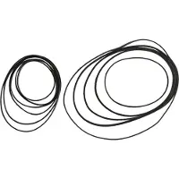 Sram Red Axs Cassetteborgring