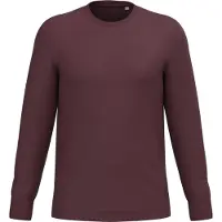 Native Spirit NS333C Ecologisch uniseks T-shirt met lange mouwen