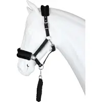 Horka Angel halsterset Kleur: zwart, Maat paard: cob