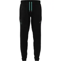 Adidas Mercedes-amg Petronas F1 Team Lot Vt Broek