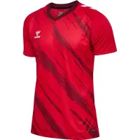 Hummel Functioneel shirt 'Match Triumph' rood / wijnrood / wit
