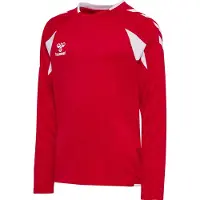 Hummel Functioneel shirt rood / wit