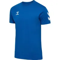 Hummel Functioneel shirt 'Go 2.0' blauw