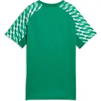 Puma LIGA26 Training Shirt Kids