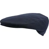 Horka pet Tweedcap heren blauw maat 56