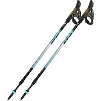 Fizan Nordic Walking stokken Speed