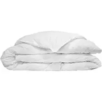 Ducky Dons All Year Dekbed D'orveige Winter Plus Dons-200 x 220 cm