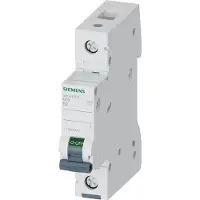 Siemens 5SL41026 5SL4102-6 Zekeringautomaat 1-polig 2 A 230 V, 400 V