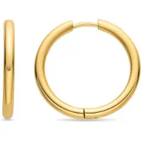 Luxenter Oorbellen 'Basem' goud