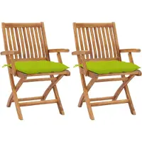 vidaXL Tuinstoelen 2 st met heldergroene kussens massief teakhout