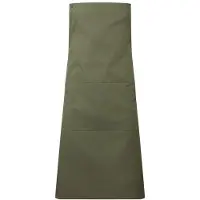 Premier Kleuren Swap & Pop Schort Lijf (Olijf)