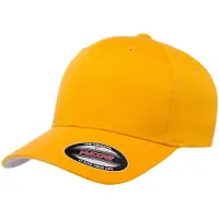 Flexfit Wollige gekamde muts (Goud)