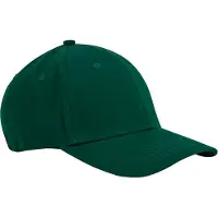 Beechfield EarthAware Classic 6 Panel Organic Cotton Sandwich Peak Baseball Cap (Fles groen)