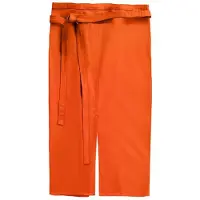 CG Workwear Milano Volledig schort met split aan de voorkant (Pompoen)