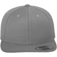 Flexfit Klassieke Snapback-cap voor volwassenen (Zilver)