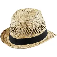 Beechfield Unisex rieten zomertrilby voor volwassenen (Natuurlijk)