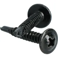 Carpoint Zelftappende Schroeven Zwart 25 mm – 100 Stuks – Sterke Bevestiging – Voor Montage & Kluswerk