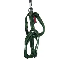 Martin sellier Nature Harnas / Hondentuigje - Gevet Leder - Groen - S-M - Breedte: 20 mm - Borstomtrek: 50-70 cm (GELIEVE ALVORENS BESTELLEN OPMETEN)