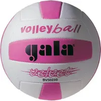 Gala Velvet 5023S volleybal, maat 5