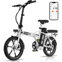 Hitway Elektrische Fiets BK5SL - 16 Inch City Commuter EBike met Afneembare 36V 13Ah Lithium Batterij - Opvouwbaar E-Bike met 250W Motor - IP54 Waterproof