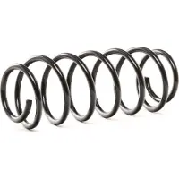 RIDEX 188C0451 Chassisveer