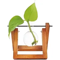 Winkee - Hydro Vases Flower Vase