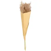 Asa selection Pampasgras, set van 6, Pampasgras, droogbloem, grassen, decoratie, deco, 35 cm, bruin, 66322444