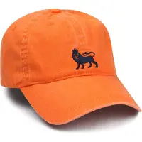 Steppin' Out Pet Oranje - Maat - Heren - Petten