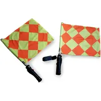 Lynx Sport Pair Of Electronic Flags For Referees Groen