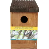 Tuinplus Bird Home Koolmees