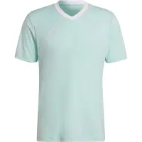 Adidas Entrada 22 Short Sleeve T-shirt Blauw S / Regular Man