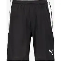 Puma Sportbroek 'TeamLiga' lichtgrijs / zwart / wit