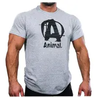 Universal Nutrition Animal Basic Logo T-Shirt - Grijs - S