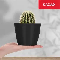 Kadax Bloempot van kunststof, diameter 11-19 cm, 7 kleuren, eenvoudige bloempot, moderne bloempot, robuuste bescherming, ronde pot (diameter 11 cm, zwart)