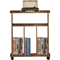 Vdd Lp vinyl opbergkast - boekenkast - opbergen tijdschriften boeken platen