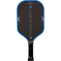 Drop Shot Flame Pickleball Paddle Zilver
