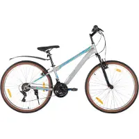 Happiq Mountainbike – Voor heren en dames – Hardtail, 21 versnellingen, V-brake – 66 cm wielen, grijs, frame van hoogwaardig staal