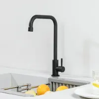 CECIPA MAX Keukenkraan Zwart - Koudwaterkraan met 7-Vorm Uitloop - Anti-Spat Keuken Kraan - RVS