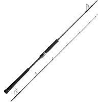 Shimano Fishing Game Type Cast Slow Jigging Rod Zilver 1.68 m / 350 g