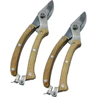 Baltus Snoeischaar deluxe