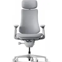 Libernovo Omni Dynamic ergonomische stoel spacegrijs 48 cm 1 stuk